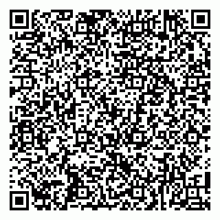vCard 79100009733