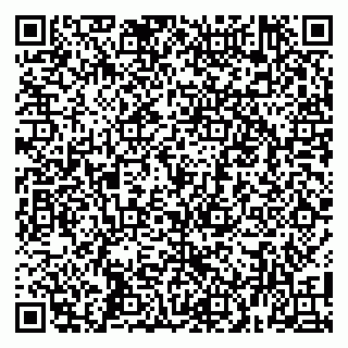 vCard 79100009993