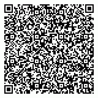 vCard 79100010013