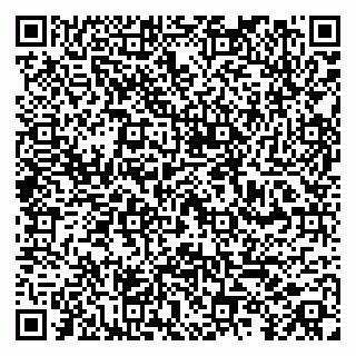 vCard 79100010029