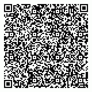vCard 79100010032