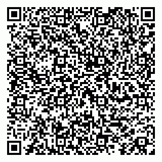 vCard 79100010033