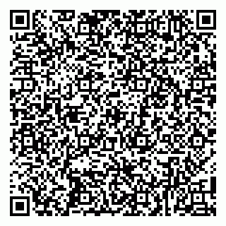 vCard 79100010035