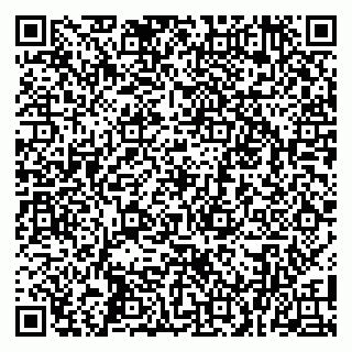 vCard 79100010041