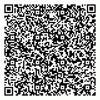 vCard 79100010063