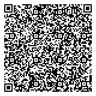 vCard 79100010080