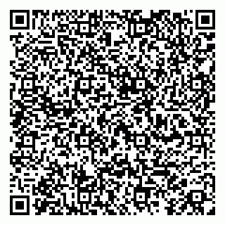 vCard 79100010133