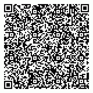 vCard 79100010303