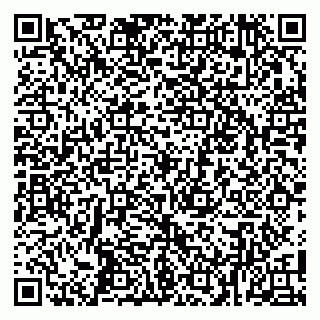 vCard 79100010331