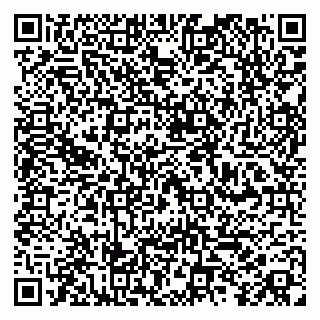 vCard 79100010333