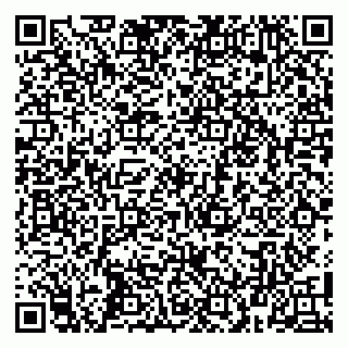 vCard 79100010385