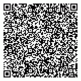 vCard 79100010403