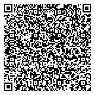 vCard 79100010653