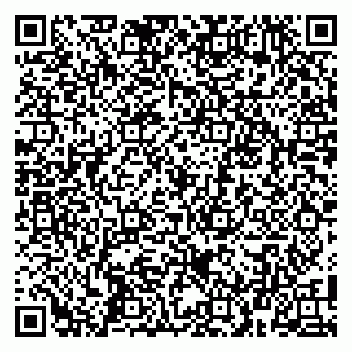vCard 79100010685