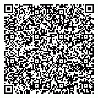 vCard 79100010689