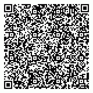 vCard 79100010691