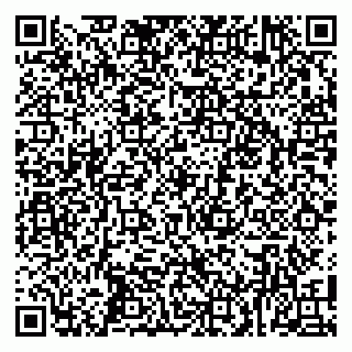 vCard 79100010733