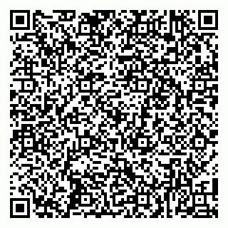 vCard 79100010933