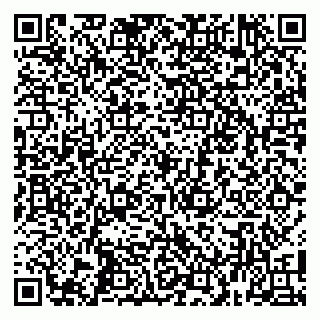 vCard 79100010993