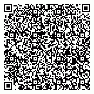 vCard 79100011002
