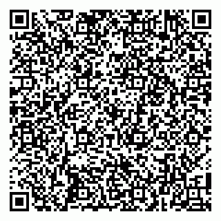 vCard 79100011003