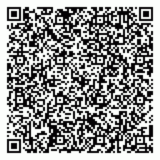 vCard 79100011128