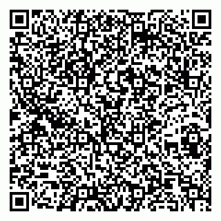 vCard 79100012013