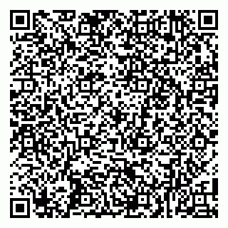 vCard 79100012131