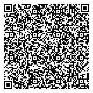 vCard 79100012803