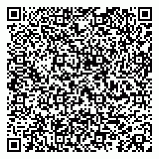 vCard 79100013003