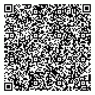 vCard 79100013085