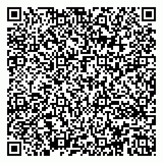 vCard 79100013100