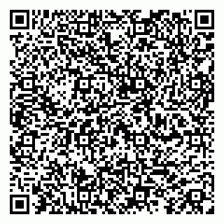vCard 79100013131