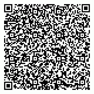 vCard 79100013153
