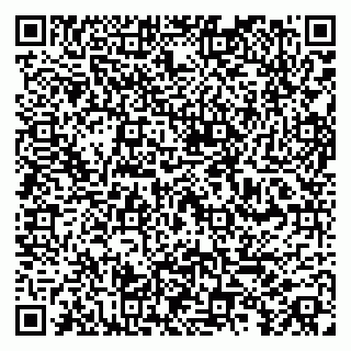 vCard 79100013161