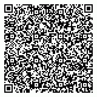 vCard 79100013181