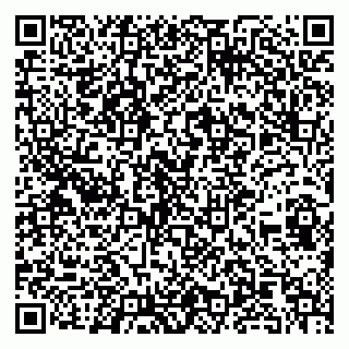 vCard 79100013199
