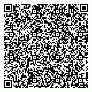 vCard 79100013203