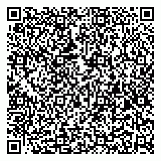 vCard 79100013209