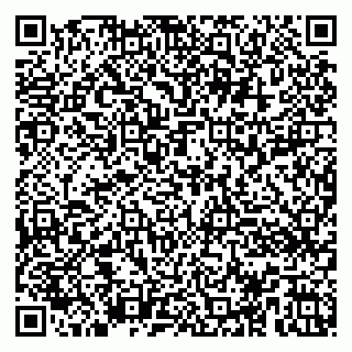 vCard 79100013233