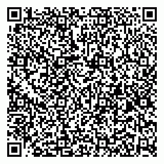 vCard 79100013239