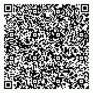 vCard 79100013263