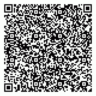 vCard 79100013267