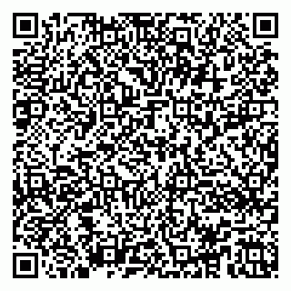 vCard 79100013281