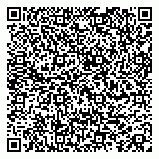 vCard 79100013293