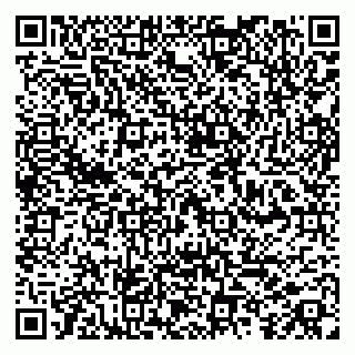 vCard 79100013299