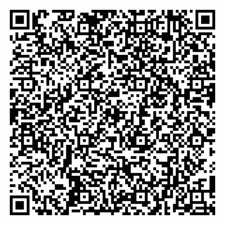 vCard 79100013301