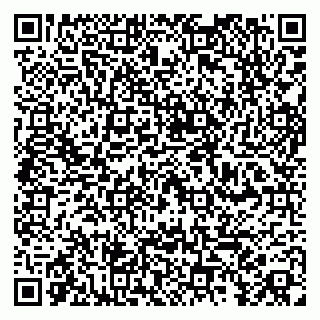 vCard 79100013363