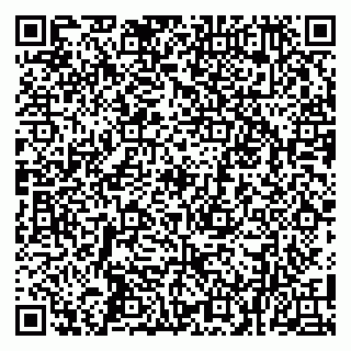 vCard 79100013370