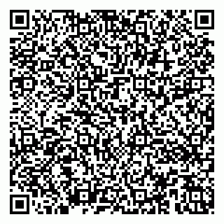 vCard 79100013376
